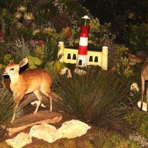 Gansbaai Cape Floral Kingdom Ekspo 3